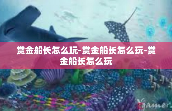 赏金船长怎么玩-赏金船长怎么玩-赏金船长怎么玩