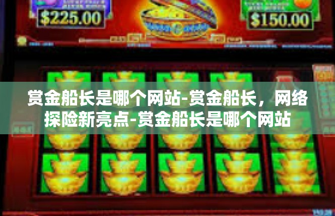 赏金船长是哪个网站-赏金船长，网络探险新亮点-赏金船长是哪个网站