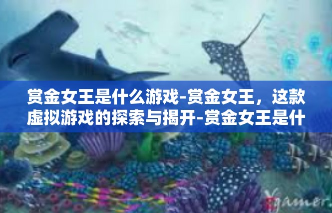 赏金女王是什么游戏-赏金女王，这款虚拟游戏的探索与揭开-赏金女王是什么游戏
