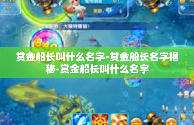赏金船长叫什么名字-赏金船长名字揭秘-赏金船长叫什么名字