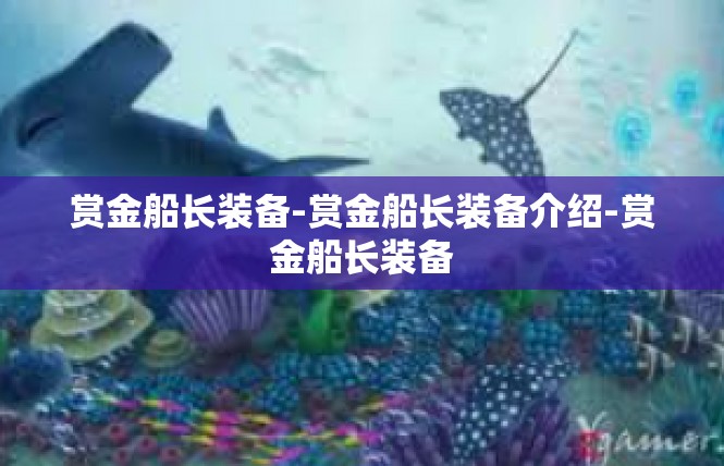赏金船长装备-赏金船长装备介绍-赏金船长装备