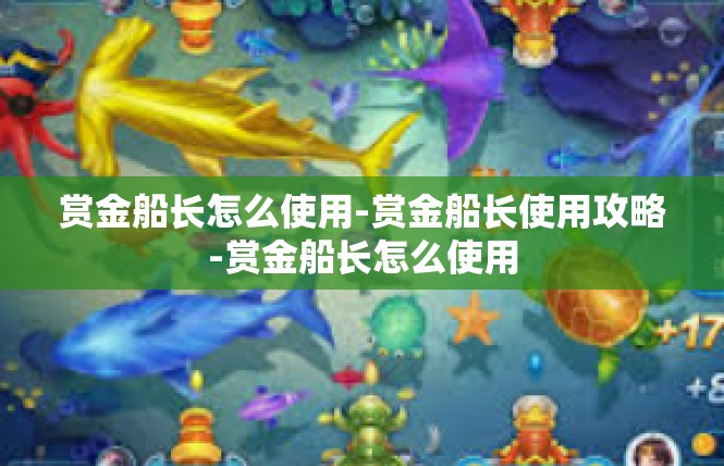 赏金船长怎么使用-赏金船长使用攻略-赏金船长怎么使用