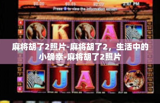 麻将胡了2照片-麻将胡了2，生活中的小确幸-麻将胡了2照片