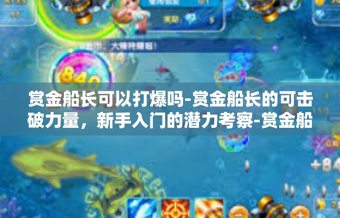 赏金船长可以打爆吗-赏金船长的可击破力量，新手入门的潜力考察-赏金船长可以打爆吗