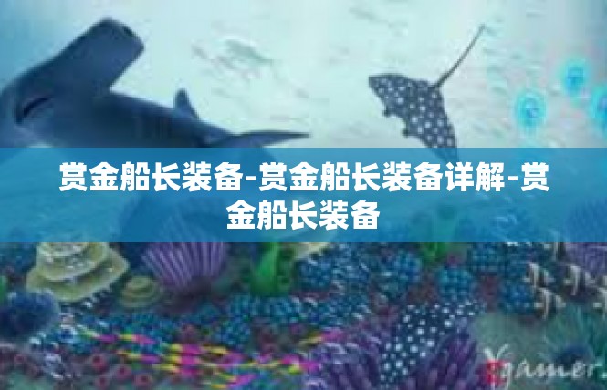 赏金船长装备-赏金船长装备详解-赏金船长装备