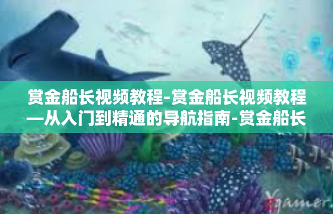赏金船长视频教程-赏金船长视频教程—从入门到精通的导航指南-赏金船长视频教程