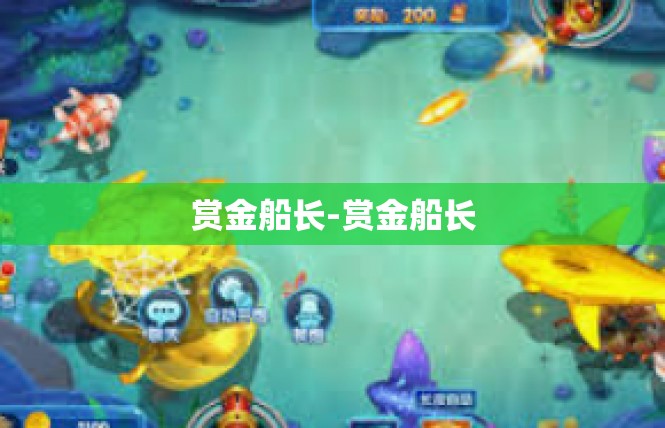 赏金船长-赏金船长