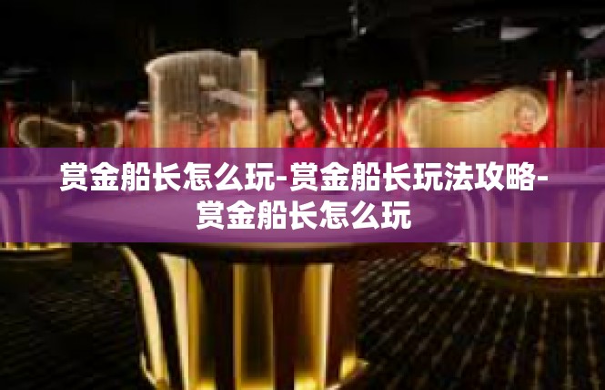 赏金船长怎么玩-赏金船长玩法攻略-赏金船长怎么玩