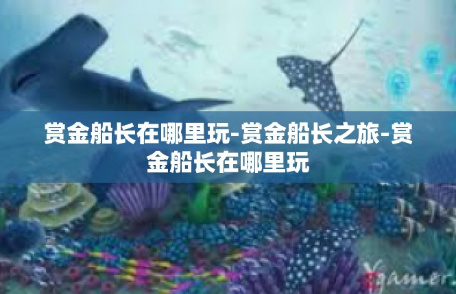 赏金船长在哪里玩-赏金船长之旅-赏金船长在哪里玩