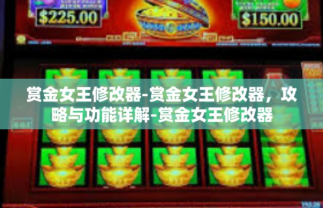 赏金女王修改器-赏金女王修改器，攻略与功能详解-赏金女王修改器