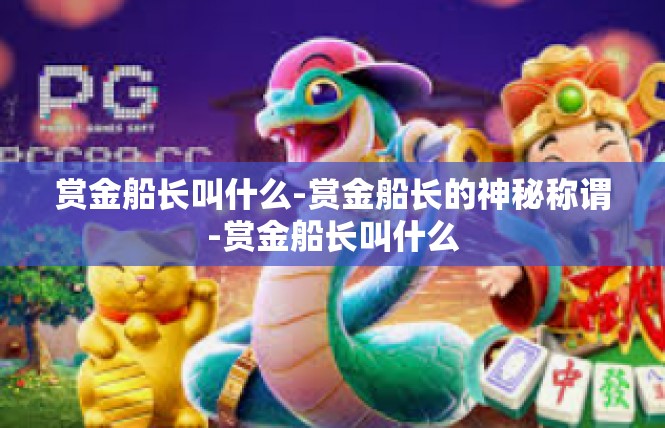 赏金船长叫什么-赏金船长的神秘称谓-赏金船长叫什么