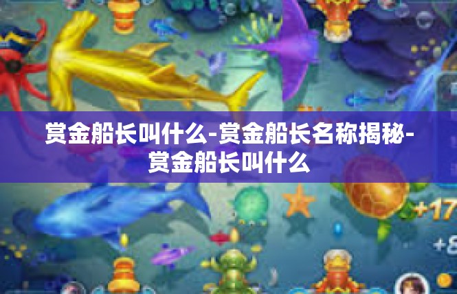 赏金船长叫什么-赏金船长名称揭秘-赏金船长叫什么