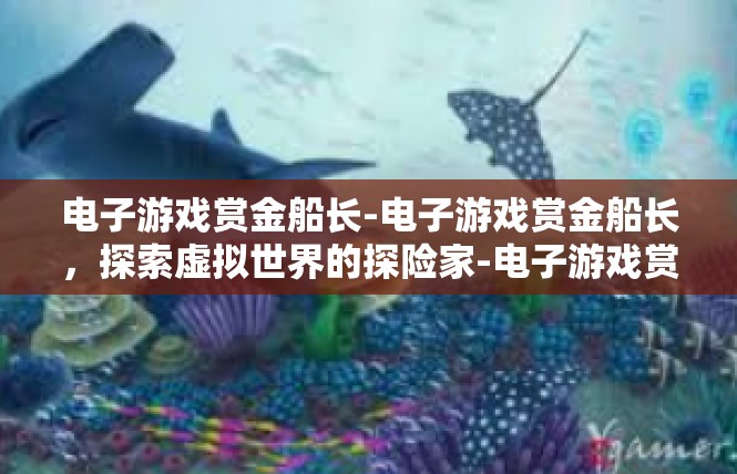 电子游戏赏金船长-电子游戏赏金船长，探索虚拟世界的探险家-电子游戏赏金船长