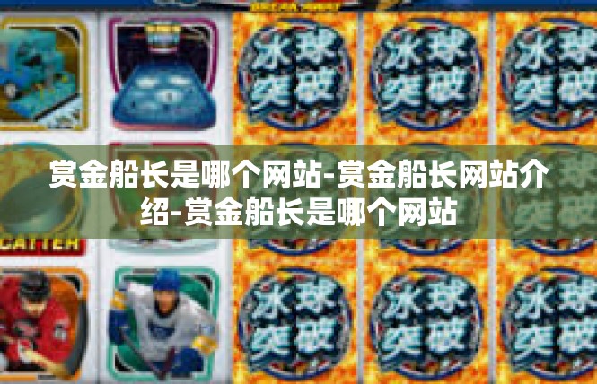 赏金船长是哪个网站-赏金船长网站介绍-赏金船长是哪个网站