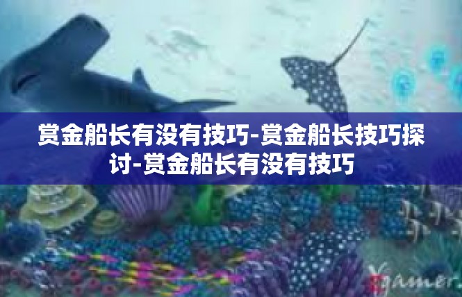 赏金船长有没有技巧-赏金船长技巧探讨-赏金船长有没有技巧