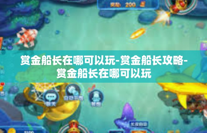 赏金船长在哪可以玩-赏金船长攻略-赏金船长在哪可以玩