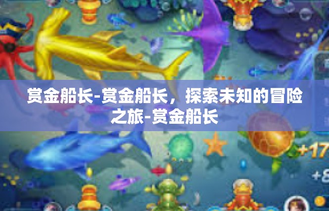 赏金船长-赏金船长，探索未知的冒险之旅-赏金船长
