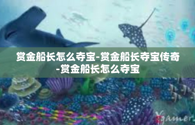 赏金船长怎么夺宝-赏金船长夺宝传奇-赏金船长怎么夺宝