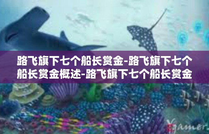 路飞旗下七个船长赏金-路飞旗下七个船长赏金概述-路飞旗下七个船长赏金