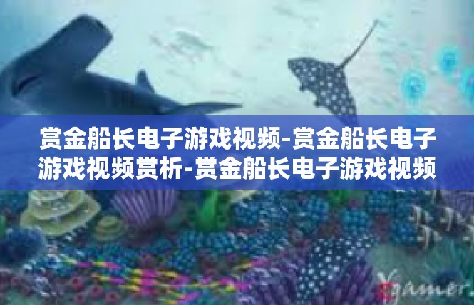 赏金船长电子游戏视频-赏金船长电子游戏视频赏析-赏金船长电子游戏视频