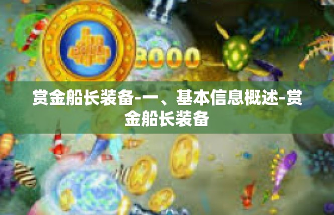 赏金船长装备-一、基本信息概述-赏金船长装备