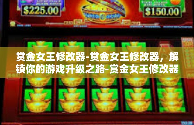 赏金女王修改器-赏金女王修改器，解锁你的游戏升级之路-赏金女王修改器