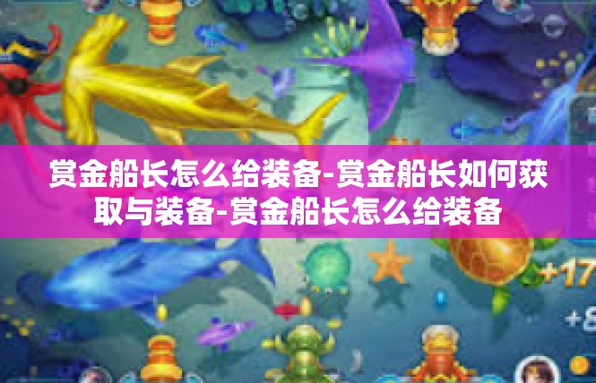 赏金船长怎么给装备-赏金船长如何获取与装备-赏金船长怎么给装备
