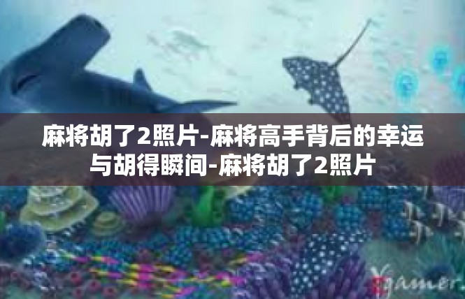 麻将胡了2照片-麻将高手背后的幸运与胡得瞬间-麻将胡了2照片