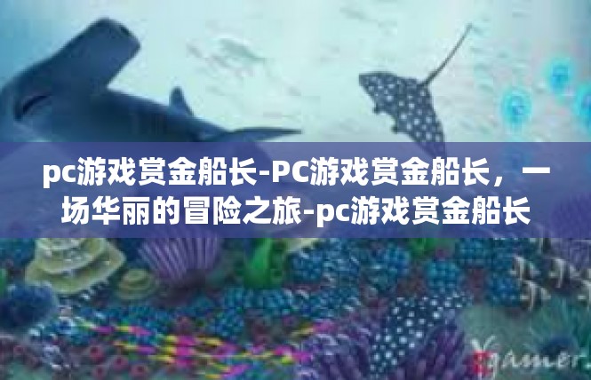 pc游戏赏金船长-PC游戏赏金船长，一场华丽的冒险之旅-pc游戏赏金船长