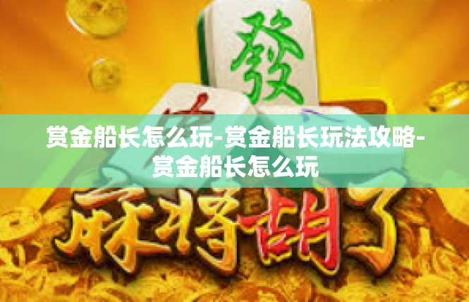 赏金船长怎么玩-赏金船长玩法攻略-赏金船长怎么玩