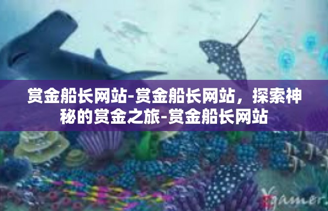 赏金船长网站-赏金船长网站，探索神秘的赏金之旅-赏金船长网站