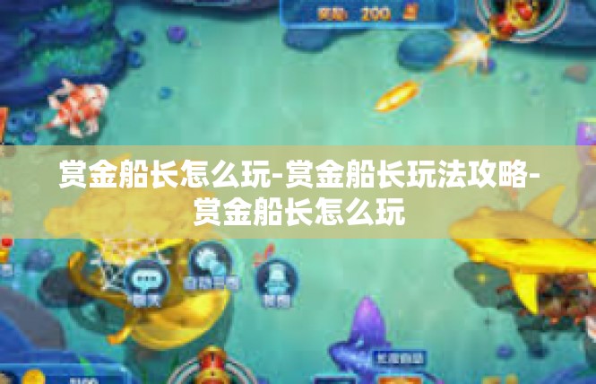 赏金船长怎么玩-赏金船长玩法攻略-赏金船长怎么玩