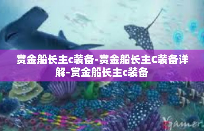 赏金船长主c装备-赏金船长主C装备详解-赏金船长主c装备