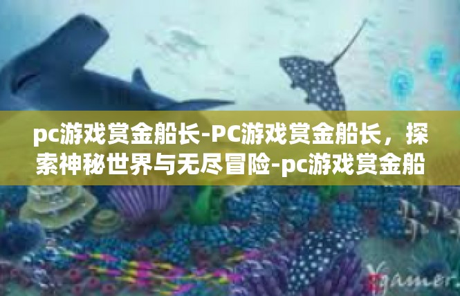 pc游戏赏金船长-PC游戏赏金船长，探索神秘世界与无尽冒险-pc游戏赏金船长