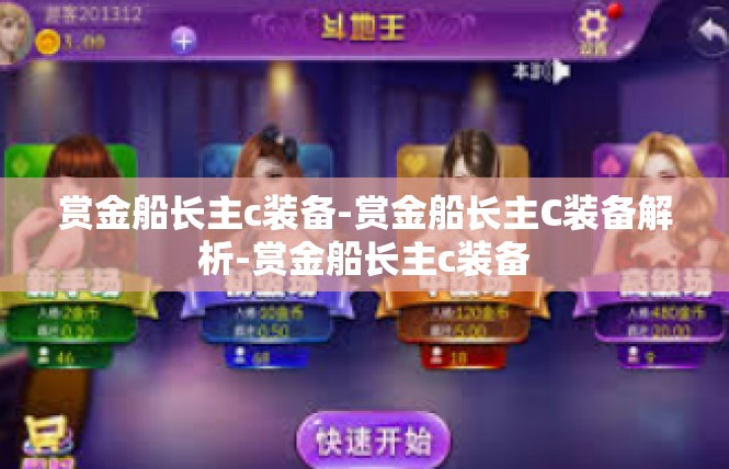 赏金船长主c装备-赏金船长主C装备解析-赏金船长主c装备