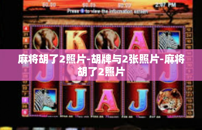 麻将胡了2照片-胡牌与2张照片-麻将胡了2照片