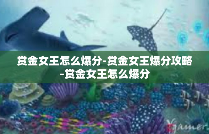 赏金女王怎么爆分-赏金女王爆分攻略-赏金女王怎么爆分