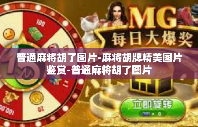 普通麻将胡了图片-麻将胡牌精美图片鉴赏-普通麻将胡了图片