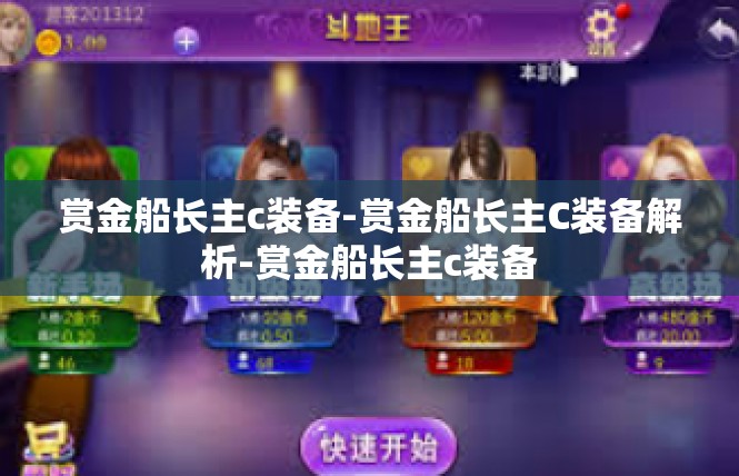 赏金船长主c装备-赏金船长主C装备解析-赏金船长主c装备