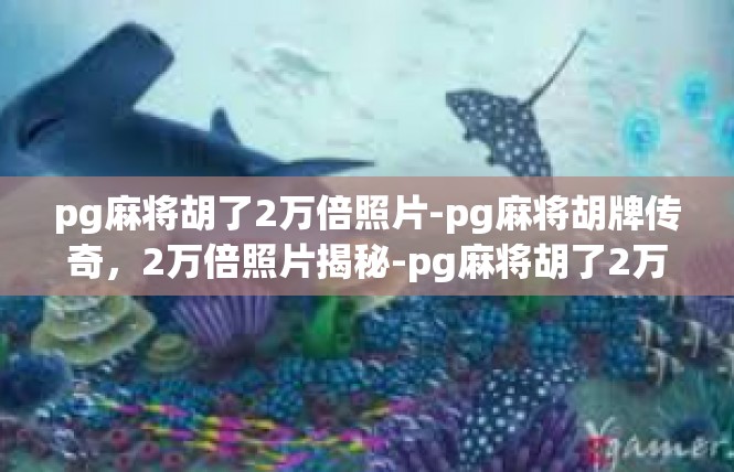 pg麻将胡了2万倍照片-pg麻将胡牌传奇，2万倍照片揭秘-pg麻将胡了2万倍照片
