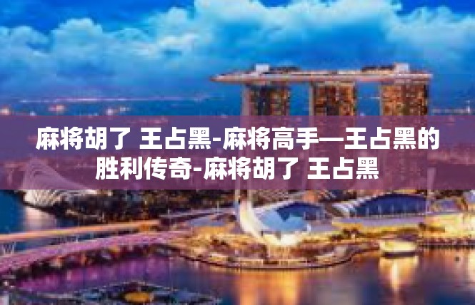 麻将胡了 王占黑-麻将高手—王占黑的胜利传奇-麻将胡了 王占黑