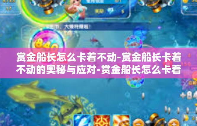 赏金船长怎么卡着不动-赏金船长卡着不动的奥秘与应对-赏金船长怎么卡着不动