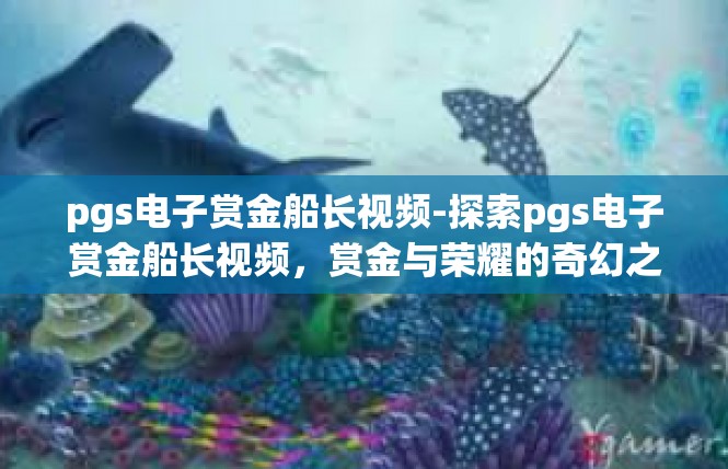 pgs电子赏金船长视频-探索pgs电子赏金船长视频，赏金与荣耀的奇幻之旅-pgs电子赏金船长视频