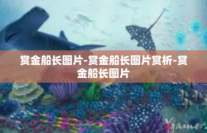 赏金船长图片-赏金船长图片赏析-赏金船长图片