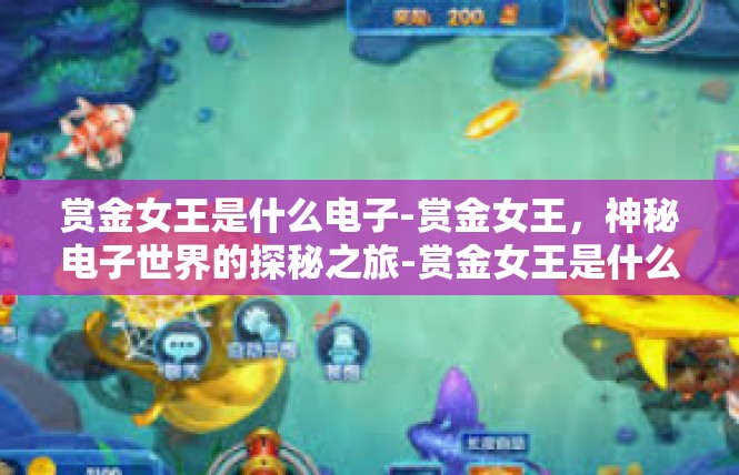 赏金女王是什么电子-赏金女王，神秘电子世界的探秘之旅-赏金女王是什么电子
