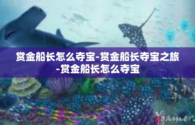 赏金船长怎么夺宝-赏金船长夺宝之旅-赏金船长怎么夺宝