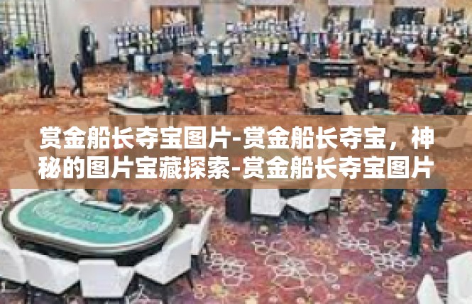 赏金船长夺宝图片-赏金船长夺宝，神秘的图片宝藏探索-赏金船长夺宝图片