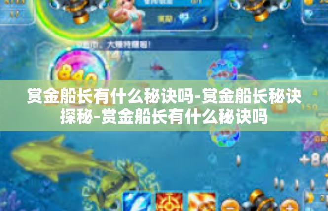 赏金船长有什么秘诀吗-赏金船长秘诀探秘-赏金船长有什么秘诀吗