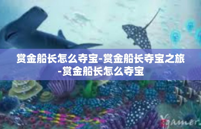 赏金船长怎么夺宝-赏金船长夺宝之旅-赏金船长怎么夺宝