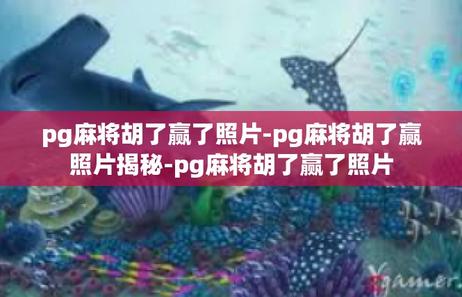pg麻将胡了赢了照片-pg麻将胡了赢照片揭秘-pg麻将胡了赢了照片